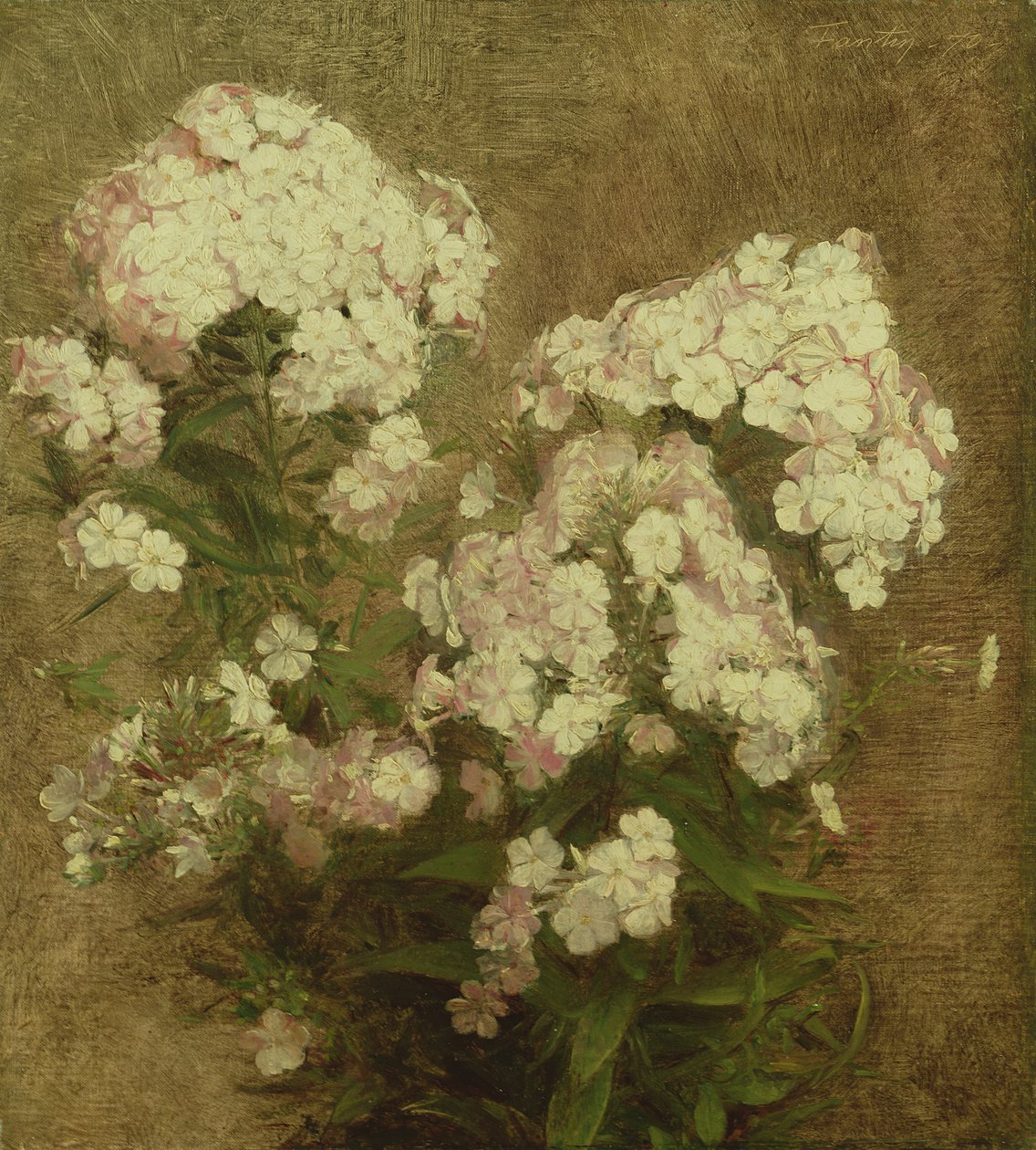 Phlox, 1870 od Ignace Henri Jean Fantin Latour