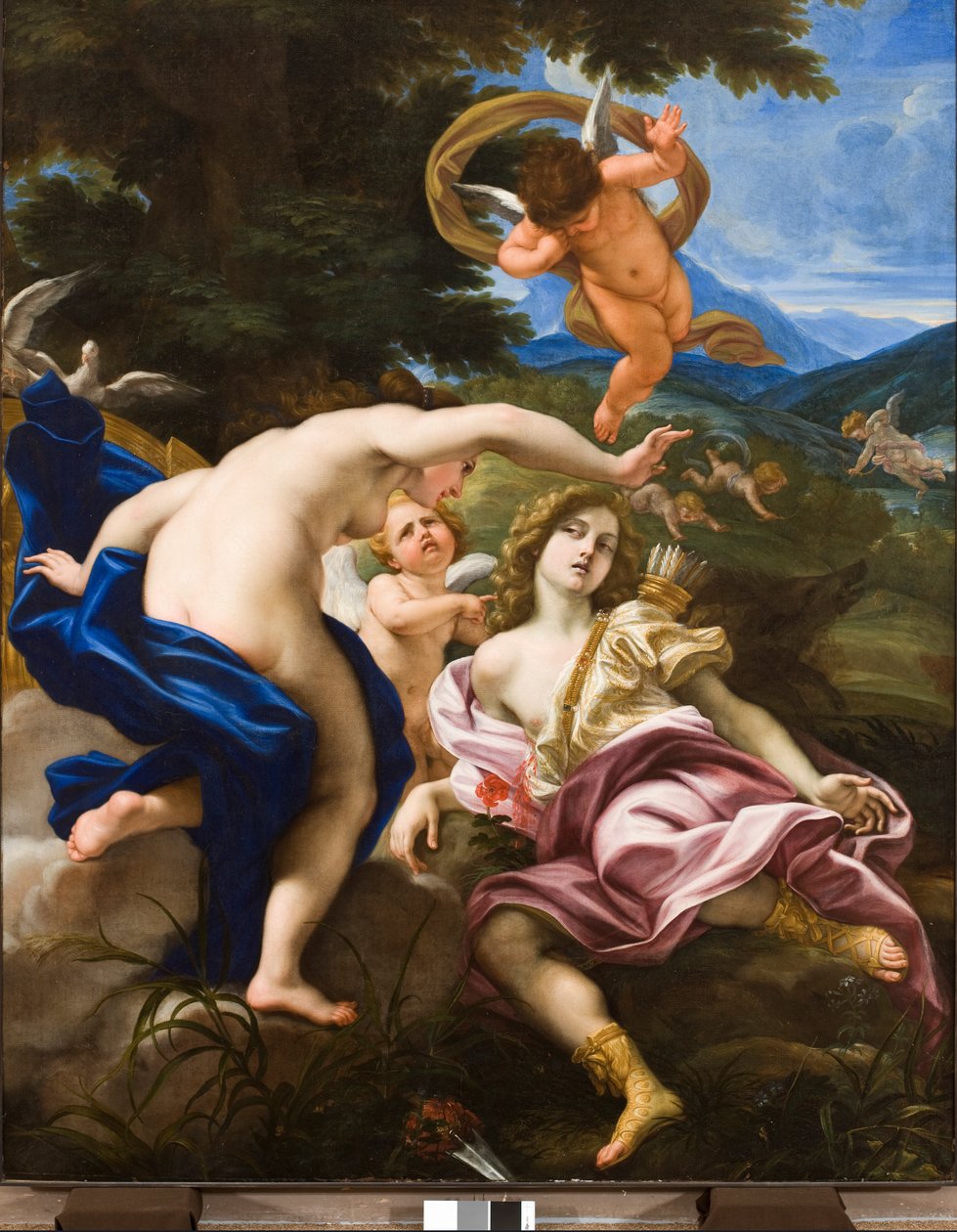 Adonisova smrt, asi 1683-85 od Il Baciccio