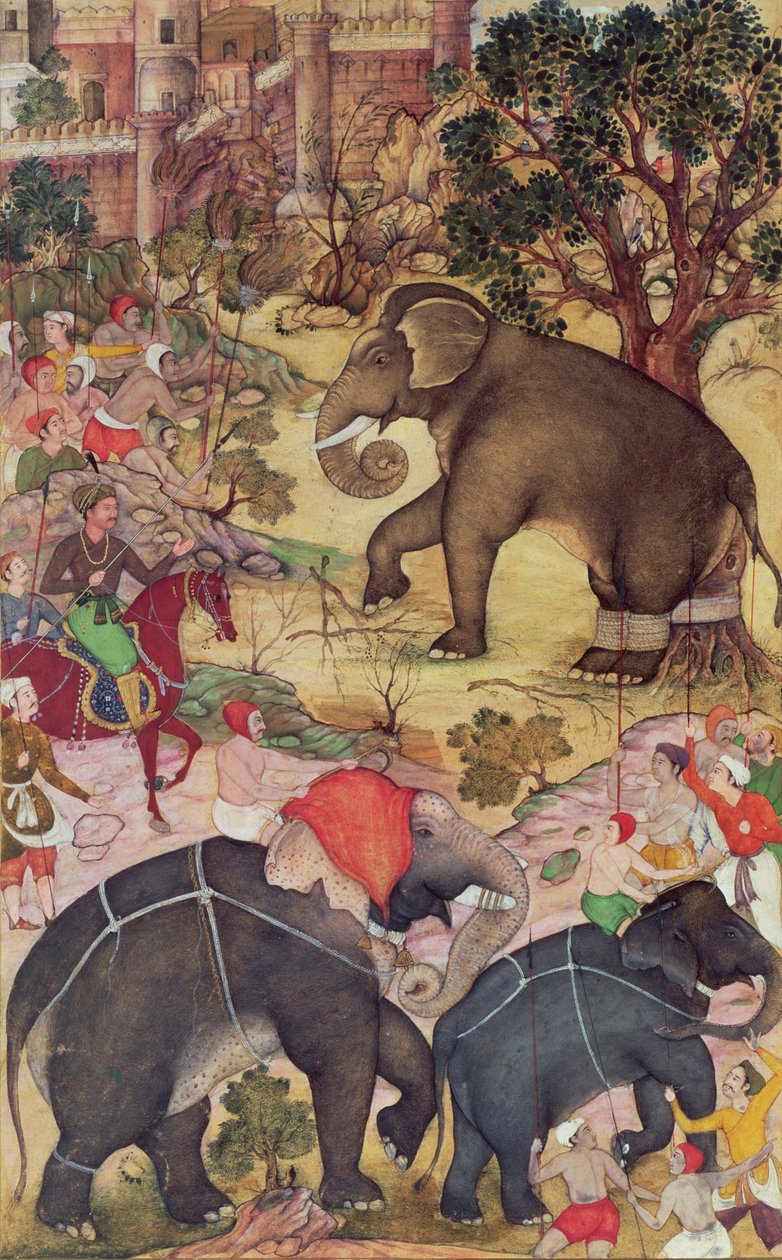 Akbar prohlíží divokého slona odchyceného ze stáda poblíž Malwa, z Akbarnama, Mughal, kolem 1590-95 (neprůhledné wc a zlato na papíře) od Indian School