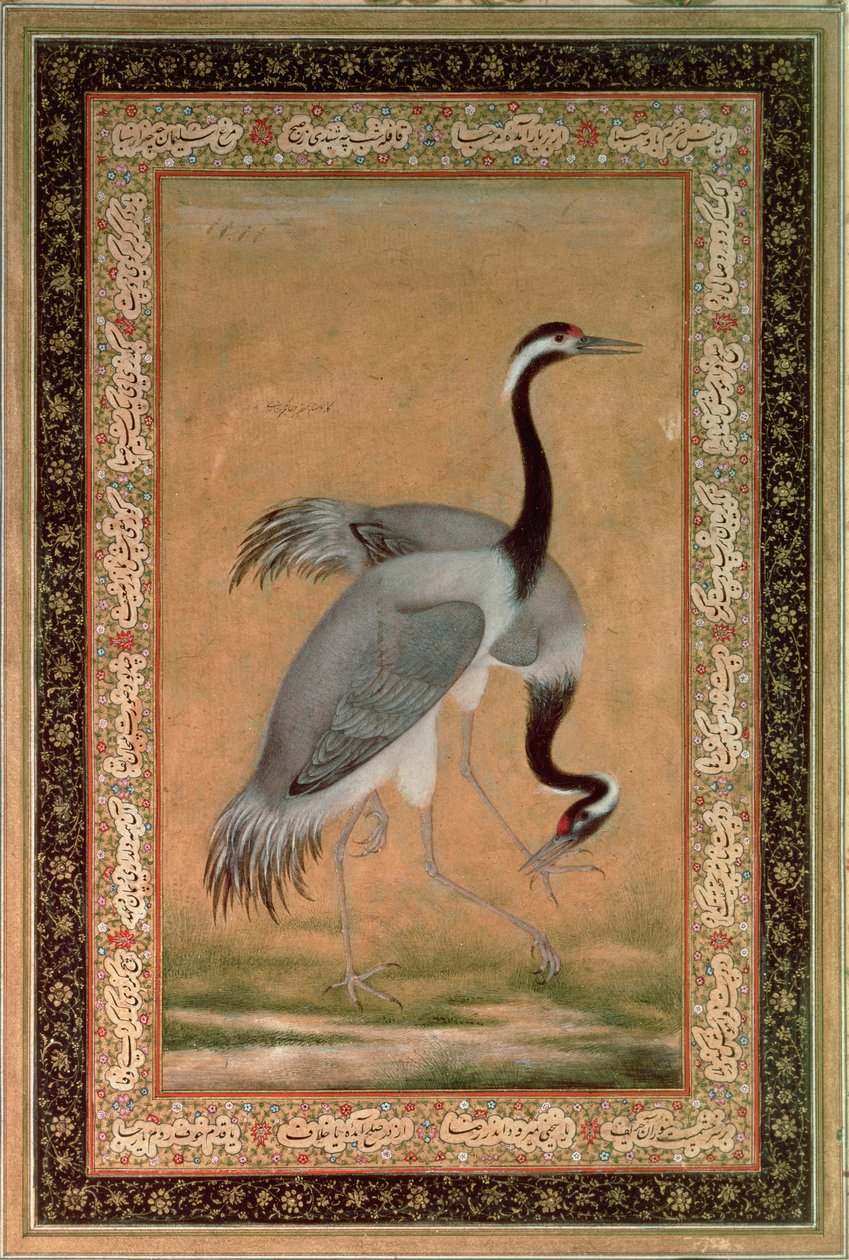 Jeřábi od Mansúra, Jahangir Period, Mughal od Indian School