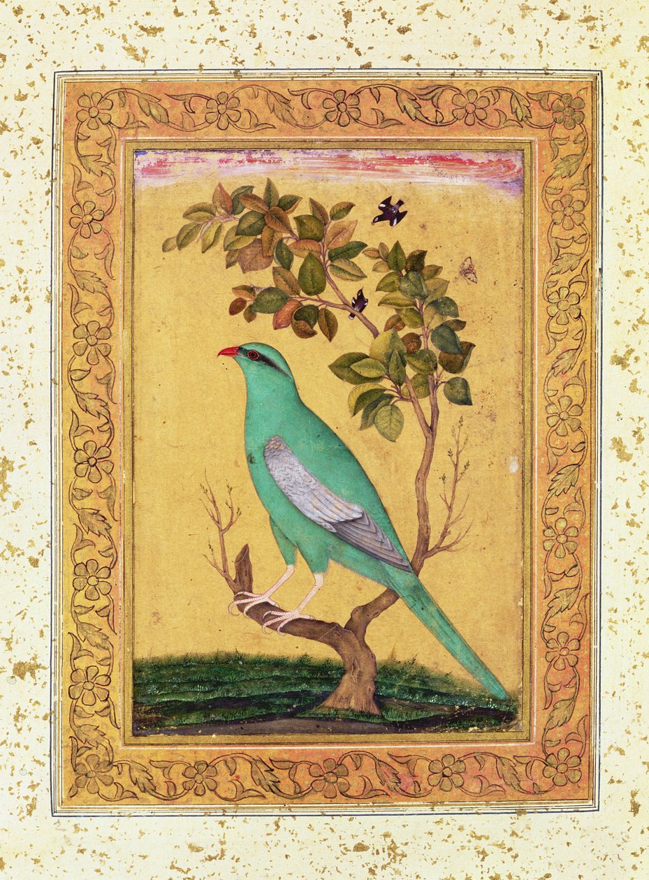 Zelený pták, Mughal od Indian School