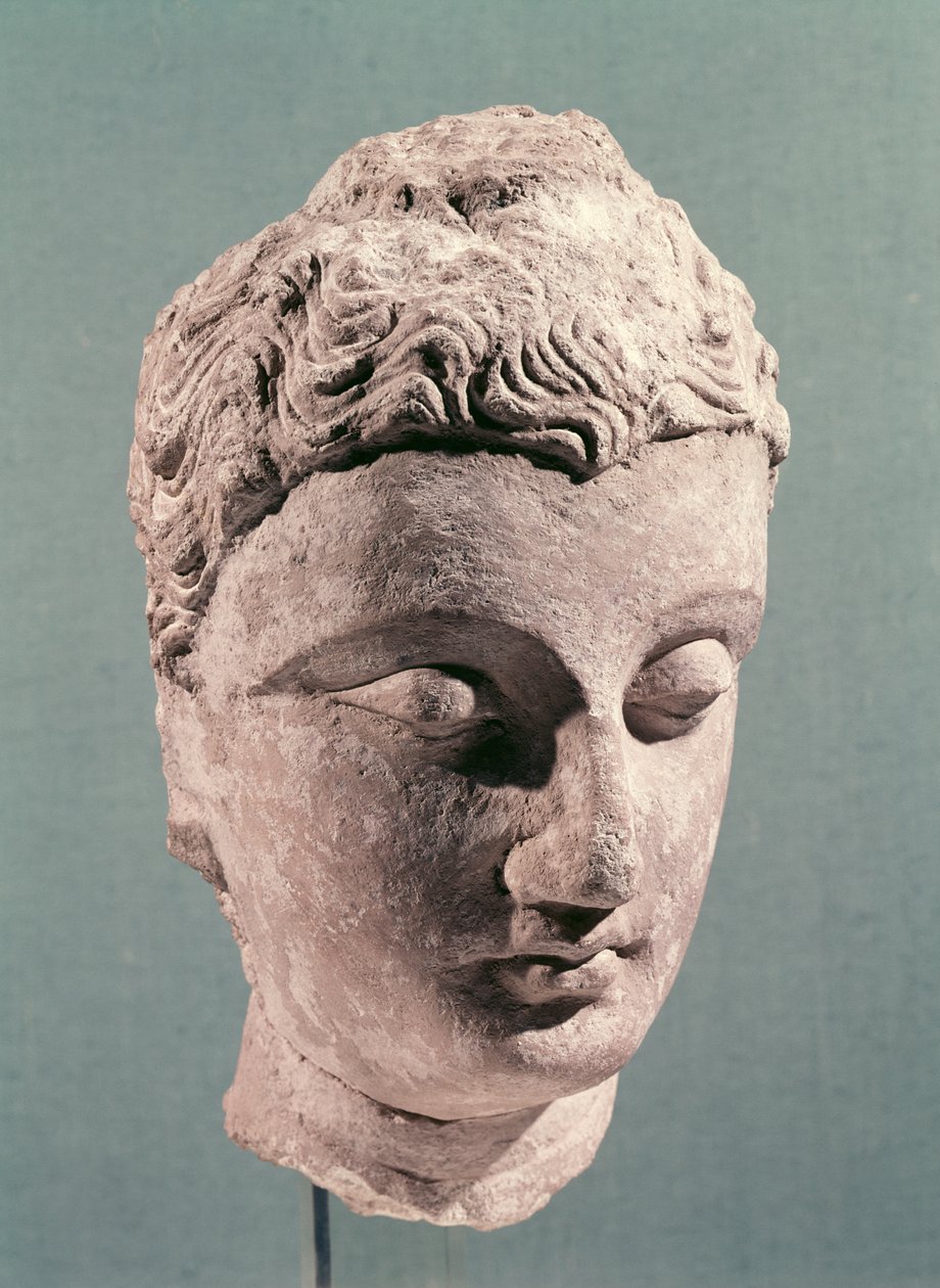 Hlava Buddhy, Gandhara, 2.-4. století (štuk) od Indian School
