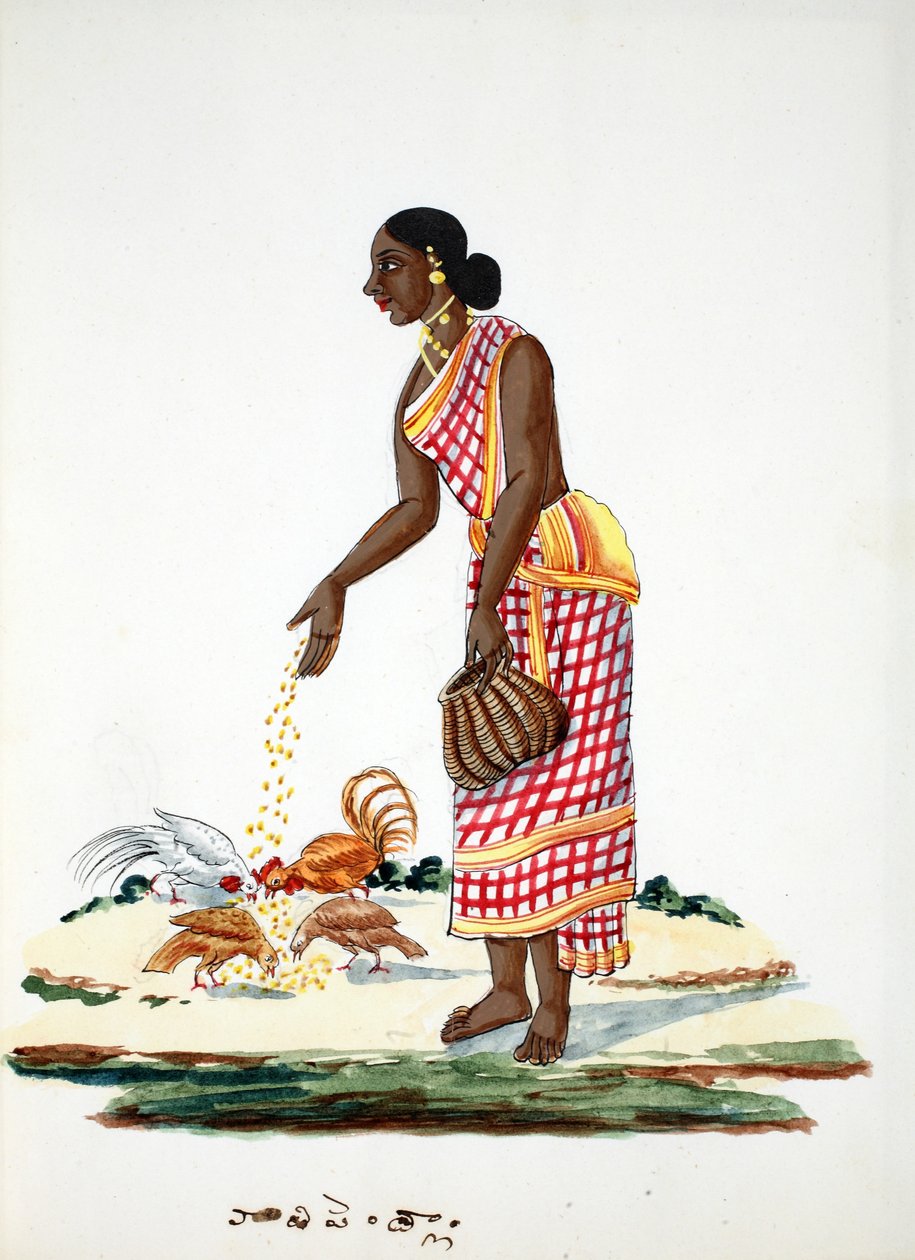 Žena krmící kuřata (wc na papíře) od Indian School