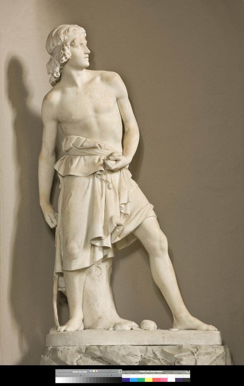 David s prakem, 1858 od Innocenzo Fraccaroli
