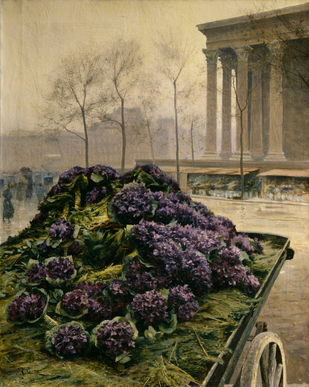 Fialky z Nice, 1902. od Iosiph Evstafievich Krachkovsky
