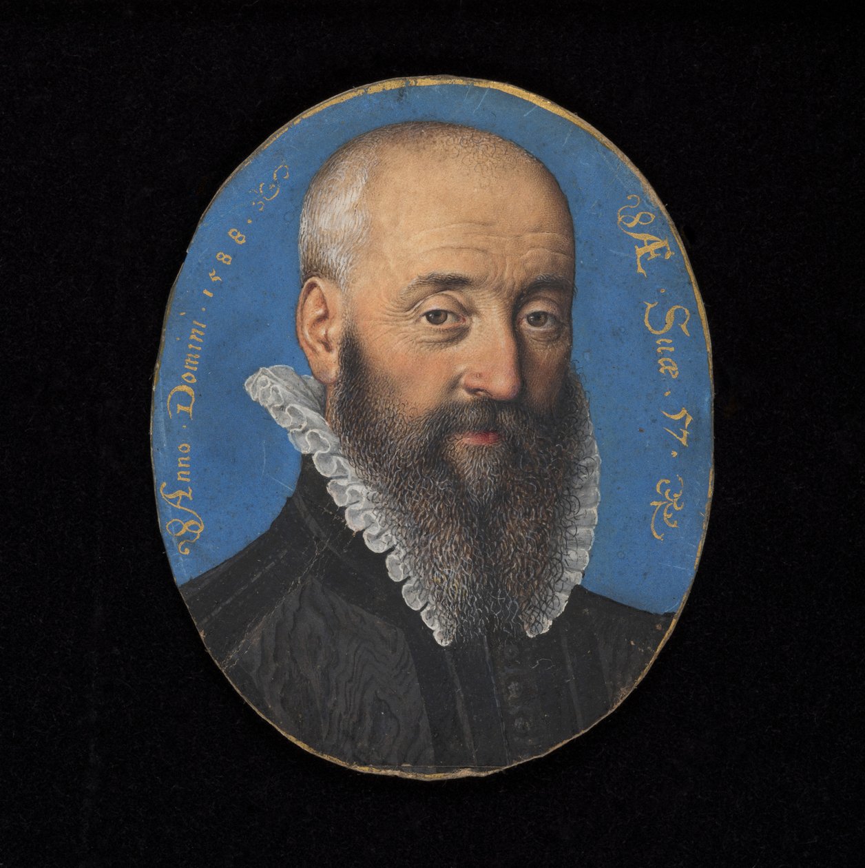 Portrétní miniatura neznámého muže ve věku 57 let, 1588 (wc na pergamenu) od Isaac Oliver