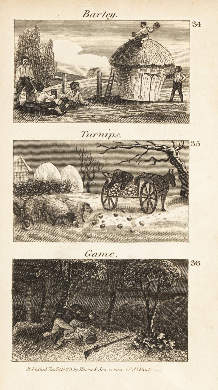 Obchoduje v Norfolku, Regency Anglie od Isaac Taylor