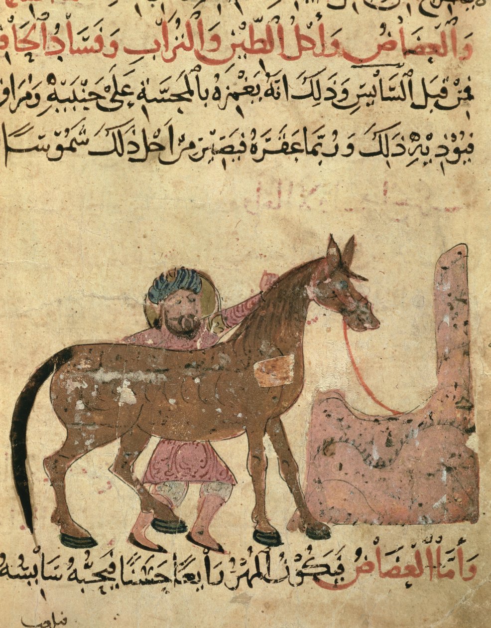 Péče o koně, ilustrace z „Knihy o podkovářství“ od Ahmeda ibn al-Husayn ibn al-Ahnaf, 1210 od Islamic School
