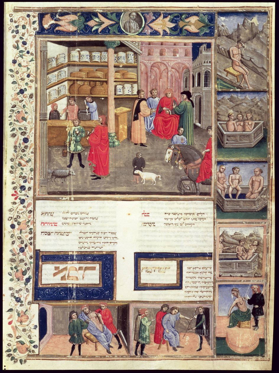 Stránka z „Kánonu medicíny“ od Avicenny (Ibn Sina) (980-1037) od Islamic School