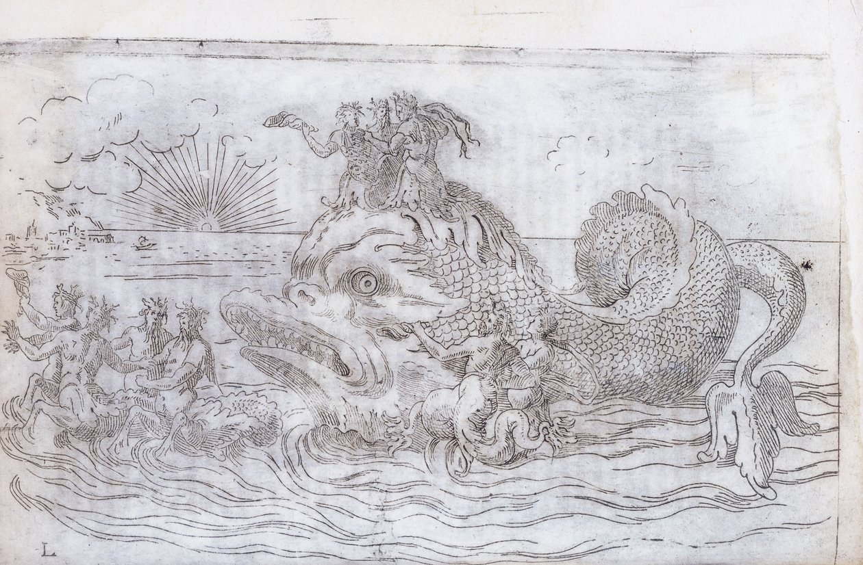 Fantastický rybí vůz, 1579 od Italian School