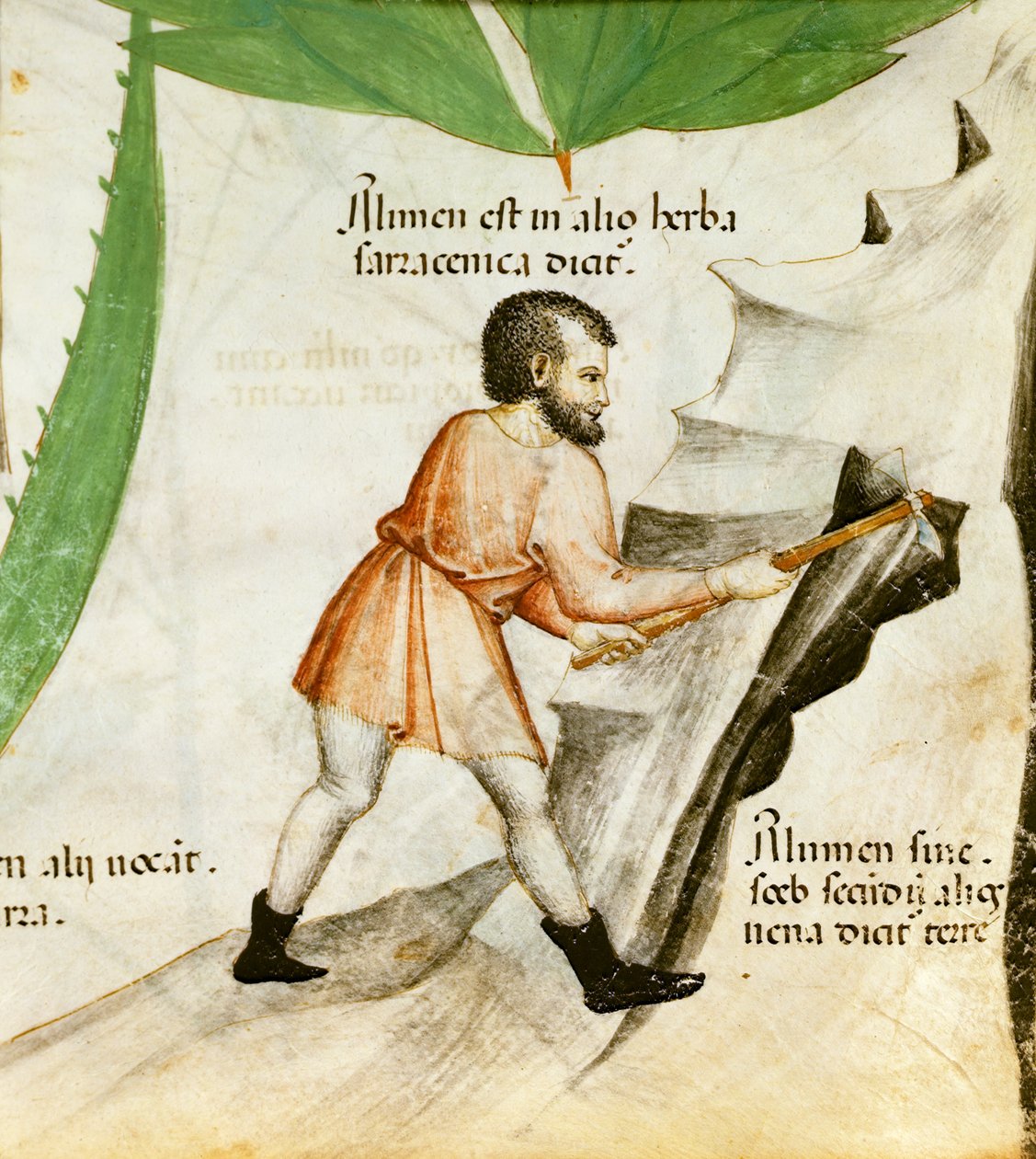 Extracting Alum, c.1440 (colour litho)   1412488   cs       czech Successfully Translated  Original: "...disposto...disposto sempre allubbidienza" (Always Ready to Obey) Translat: "...disposto...disposto sempre all