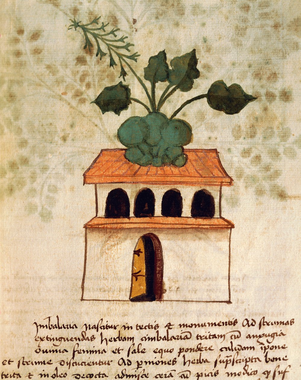 Visutá zahrada od Italian School