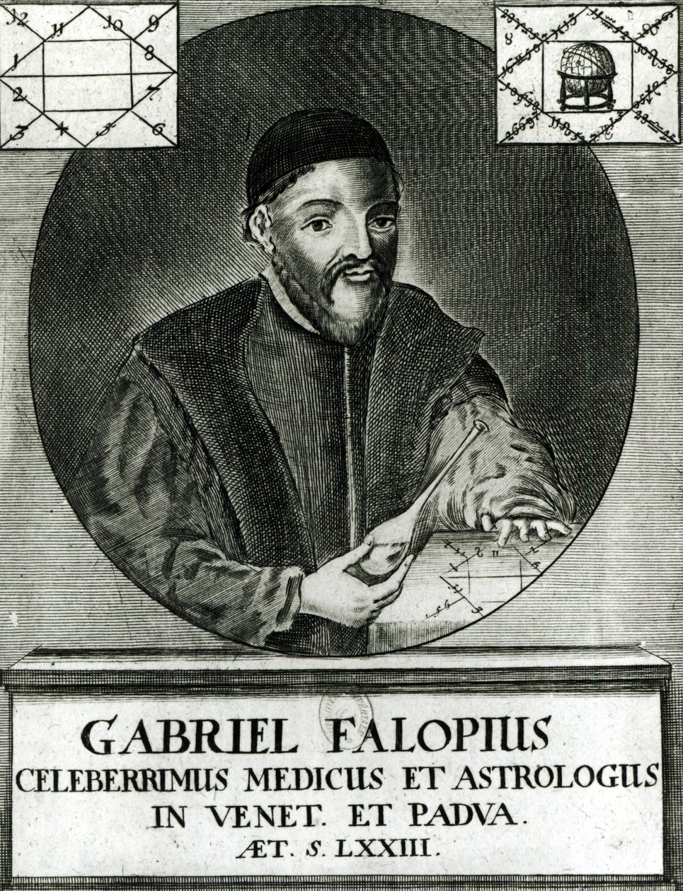 Portrét Gabriela Fallopia (1523–1562) od Italian School