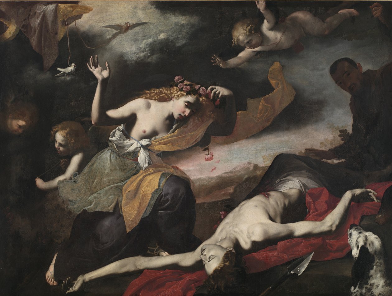 Venuše objevuje mrtvého Adonise, kolem roku 1650 od Italian School