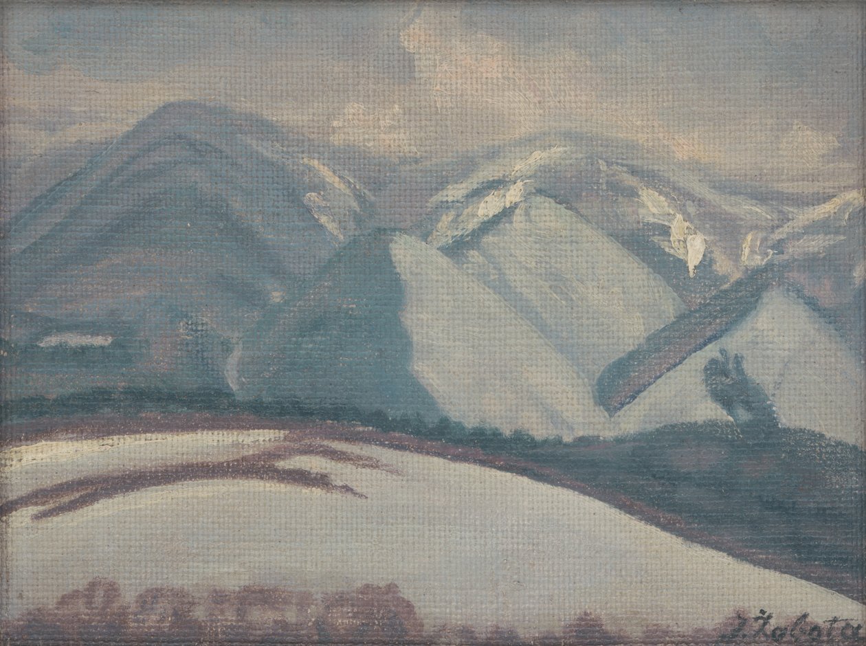 Snowfall Gorenslovecina: Snowfall chorin od Ivan Zabota