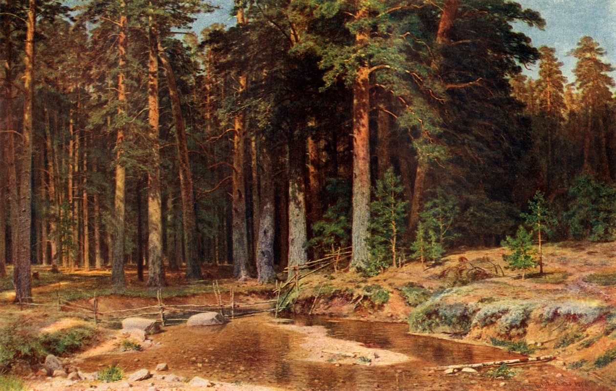 A Pine Grove, 1898, 1939. od Ivan Ivanovich Shishkin
