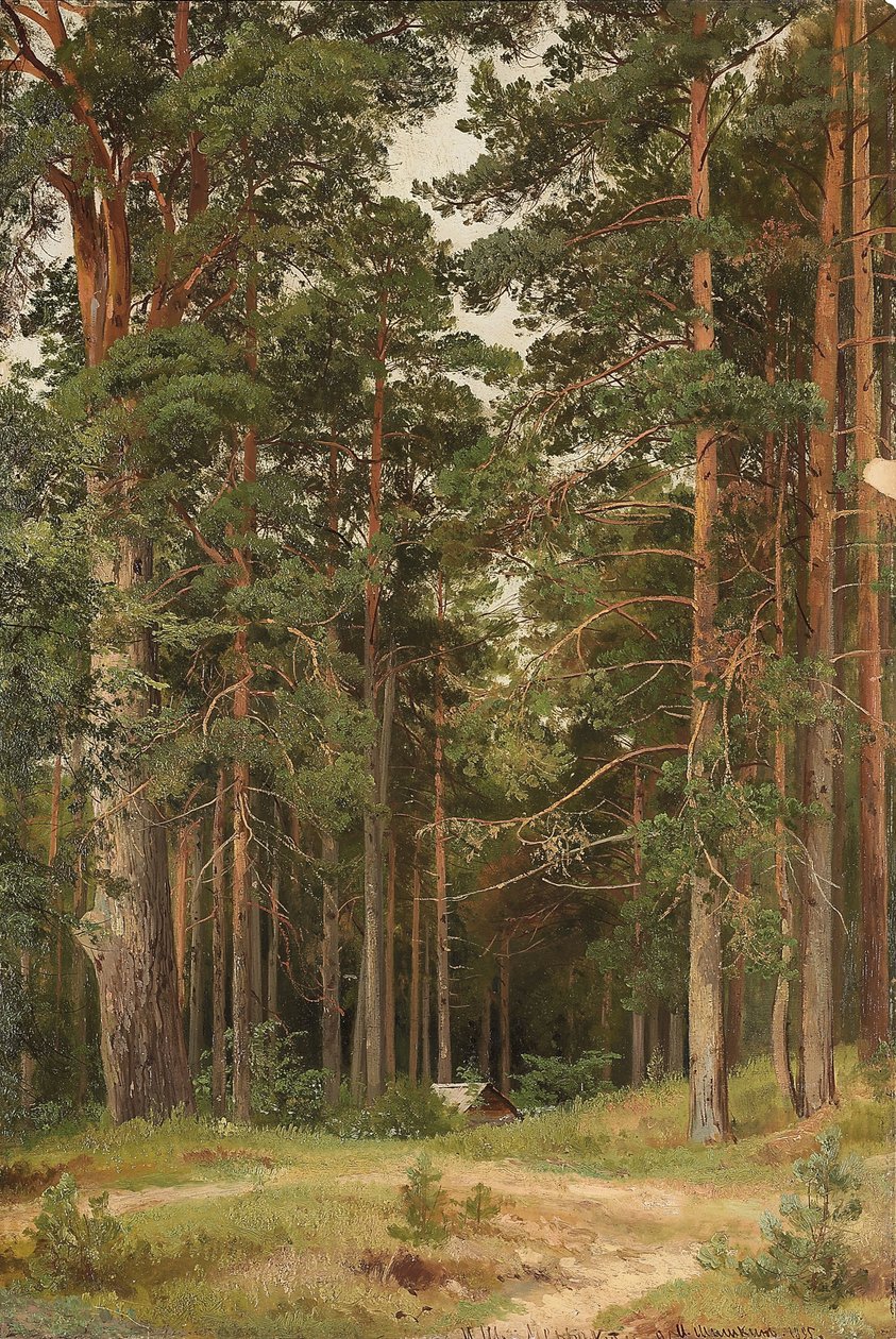 Letní den, Merikiul, 1895 od Ivan Ivanovich Shishkin