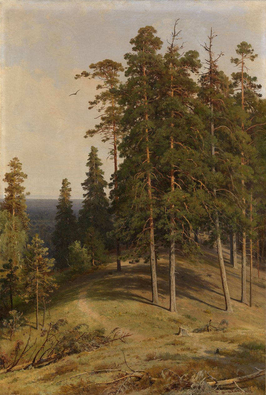 Borový les, 1895 od Ivan Ivanovich Shishkin