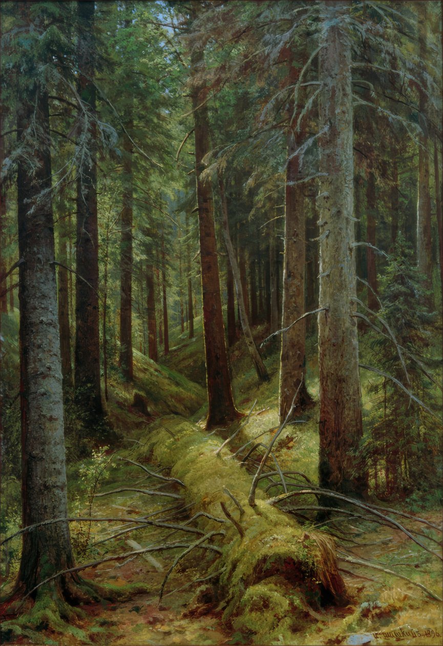 V ruském lese od Ivan Ivanovich Shishkin