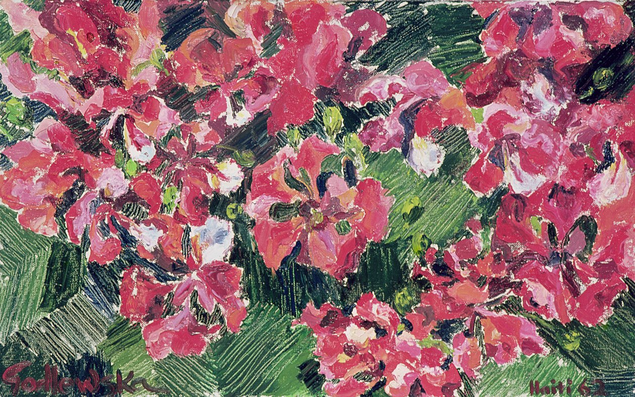 Rhododendron, 1962 od Izabella Godlewska de Aranda