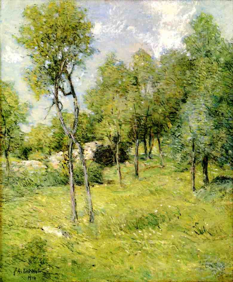 Svatojánská krajina od J. Alden Weir
