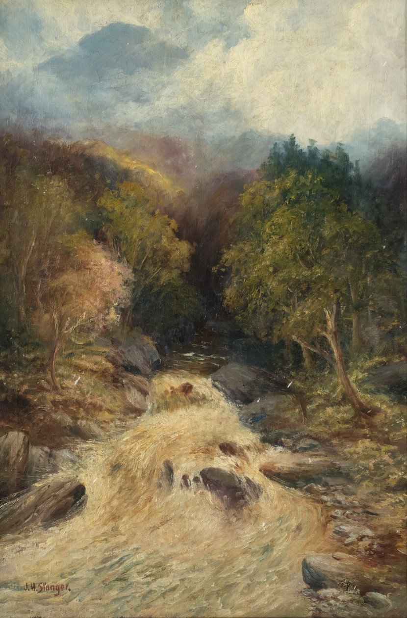 Horský les od J.H. Stanger
