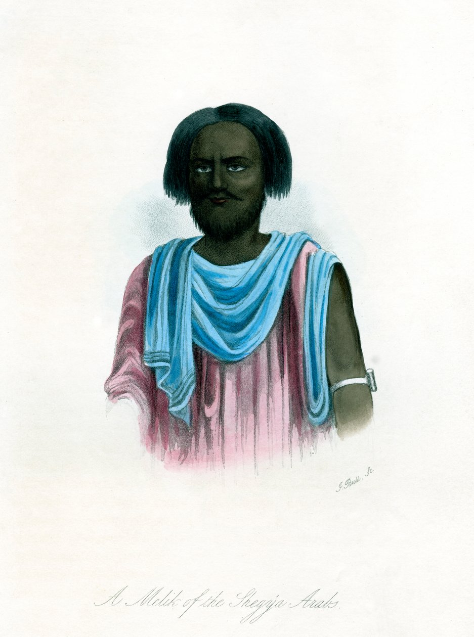 Melik ze Shegyia Arabs, c1840. od J. Bull