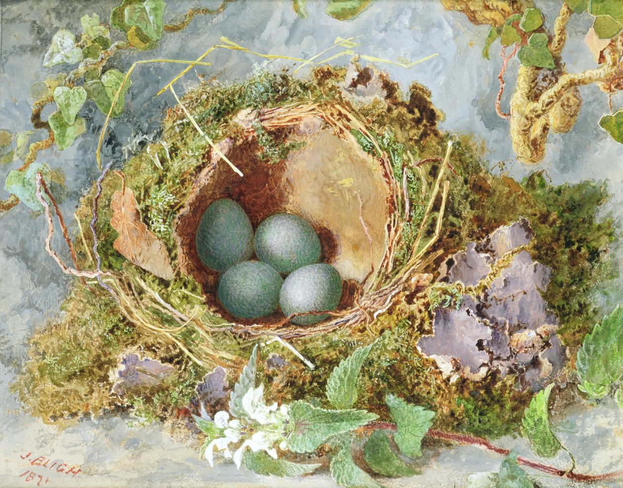 A Nest of Eggs, 1871 (pár viz 215284) od Jabez Bligh
