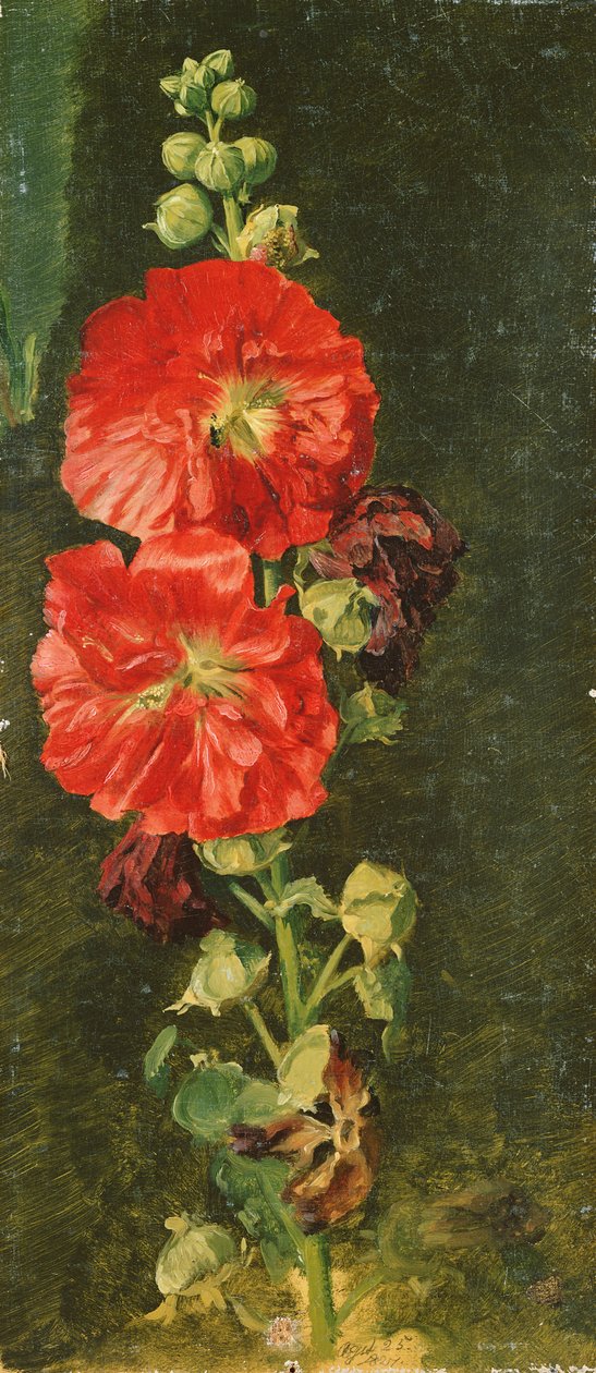 A Stockrose, 1827 od Jacob Gensler