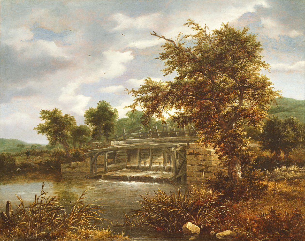 Zalesněná říční krajina se stavidlem od Jacob van Ruisdael