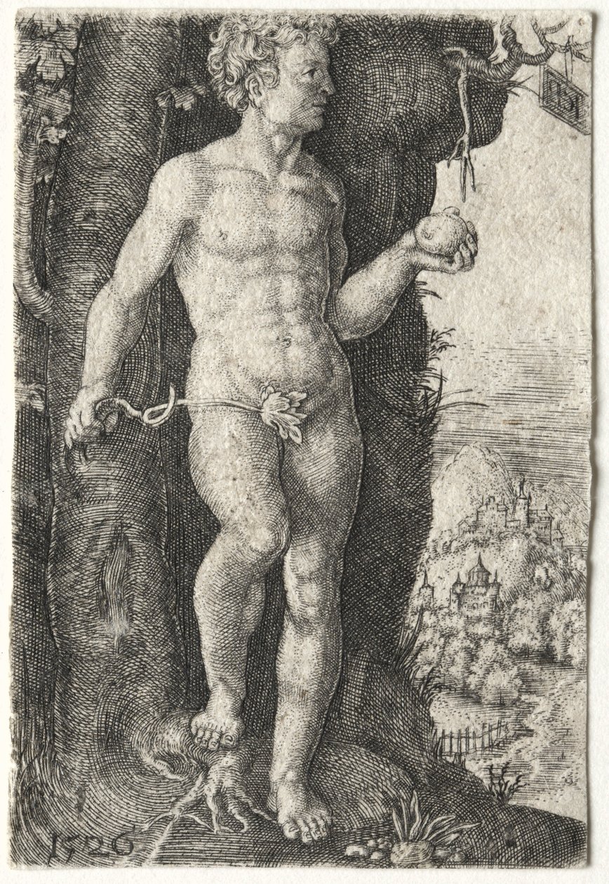 Adam, 1526. od Jacob Binck