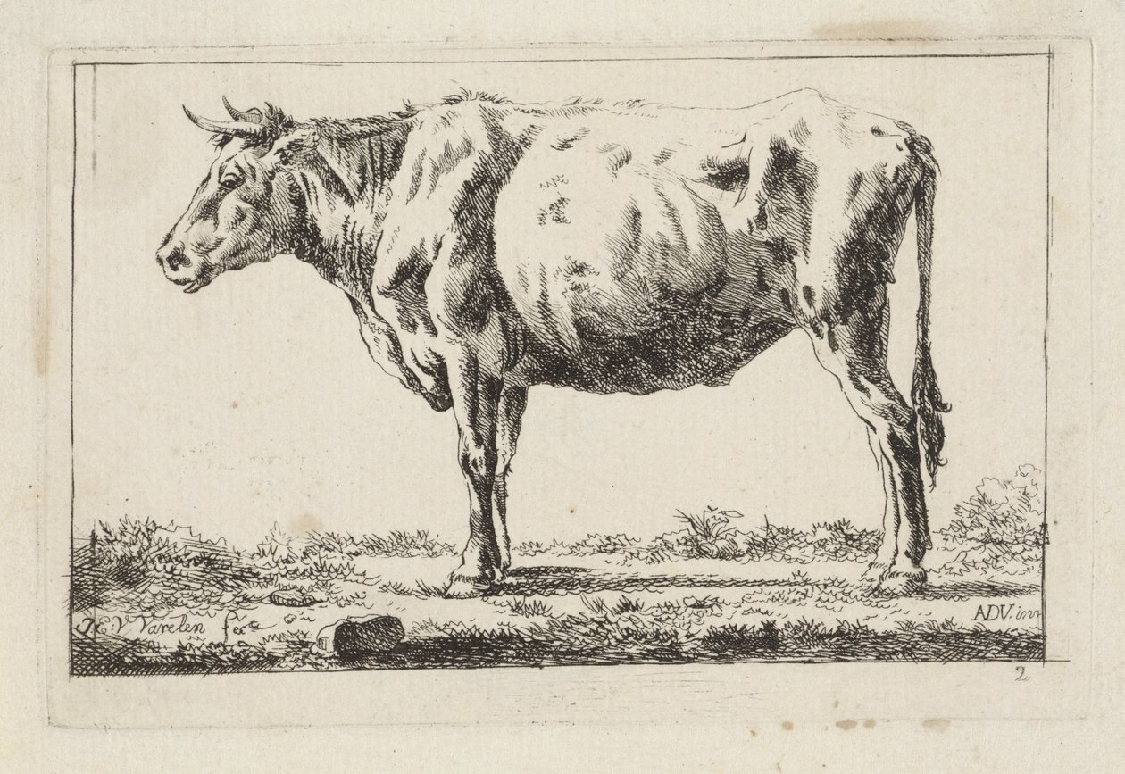 Stojící kráva, vlevo od Jacob Elias van Varelen