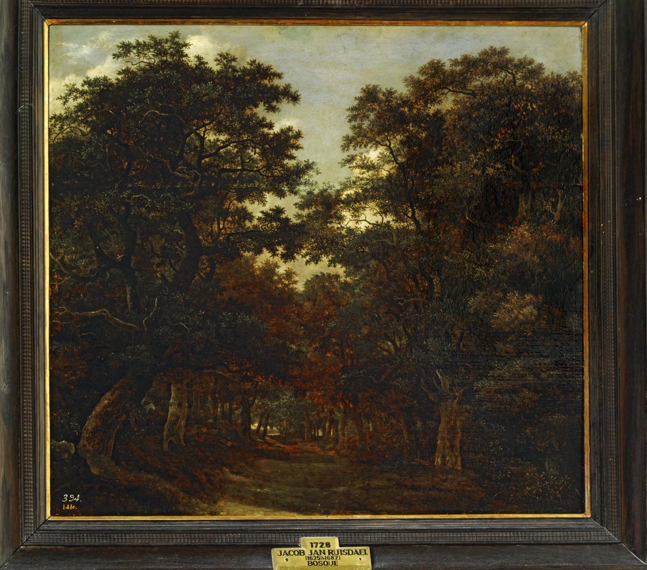 Lesní ... od Jacob Isaaksz. or Isaacksz. van Ruisdael
