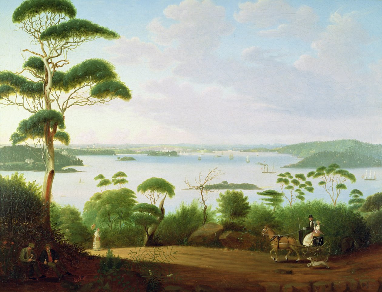 Sydney Harbour při pohledu na Sydney, 1848 od Jacob Janssen