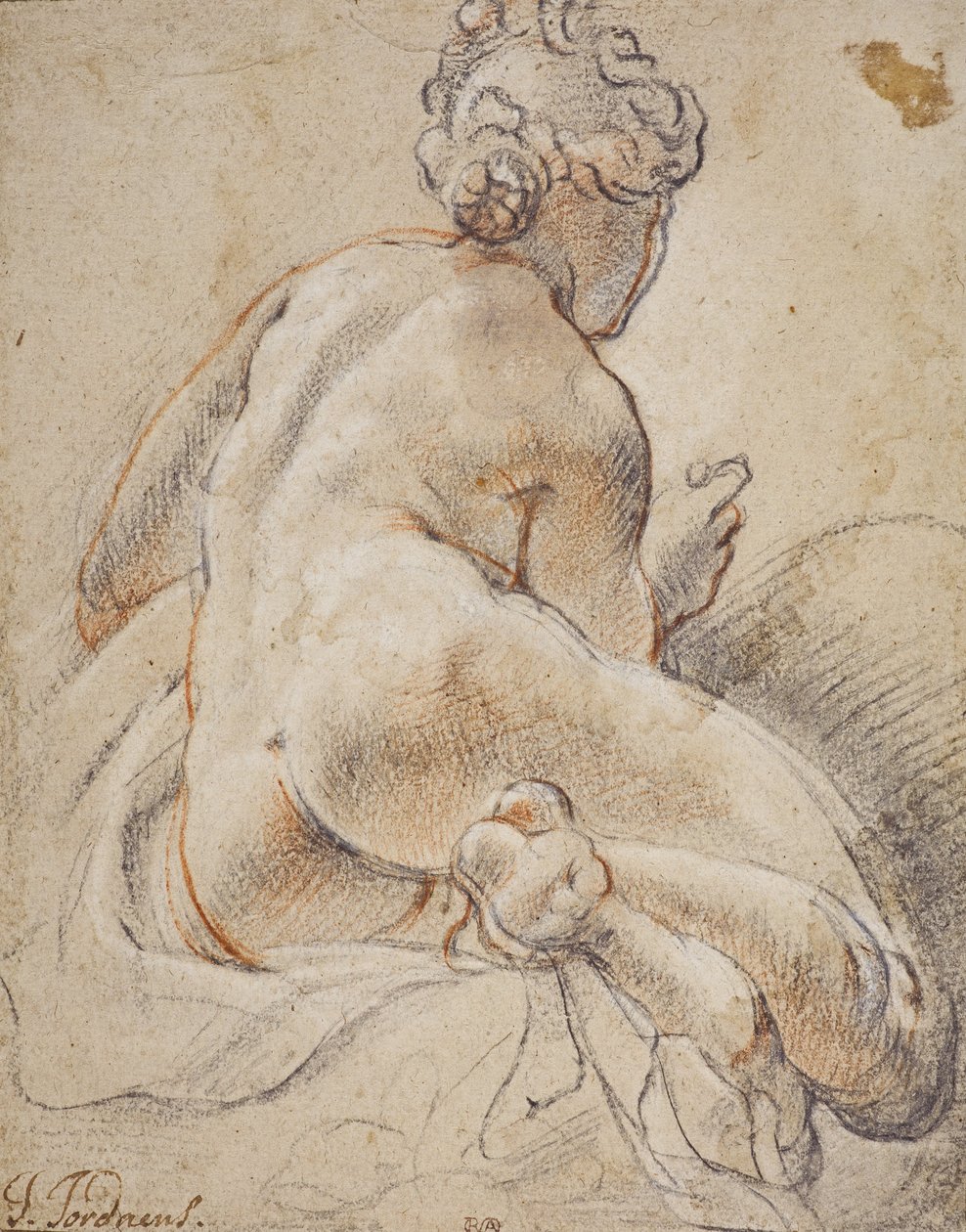 Ženský akt při pohledu zezadu od Jacob Jordaens