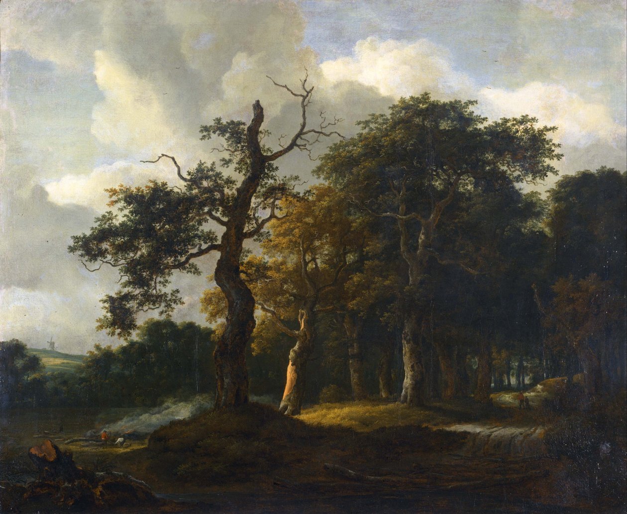 Dubové lesní cesty od Jacob van Ruisdael