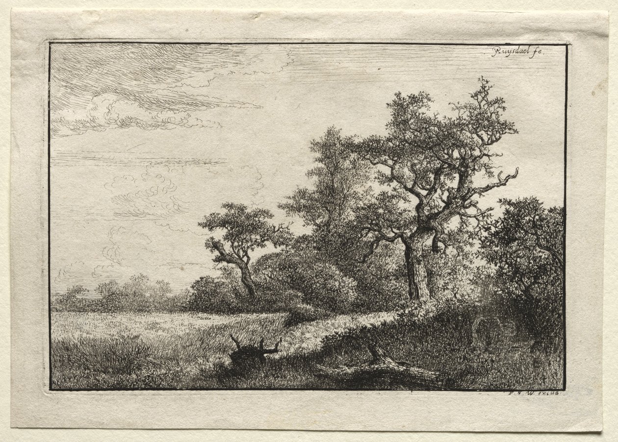 Pšeničné pole od Jacob van Ruisdael