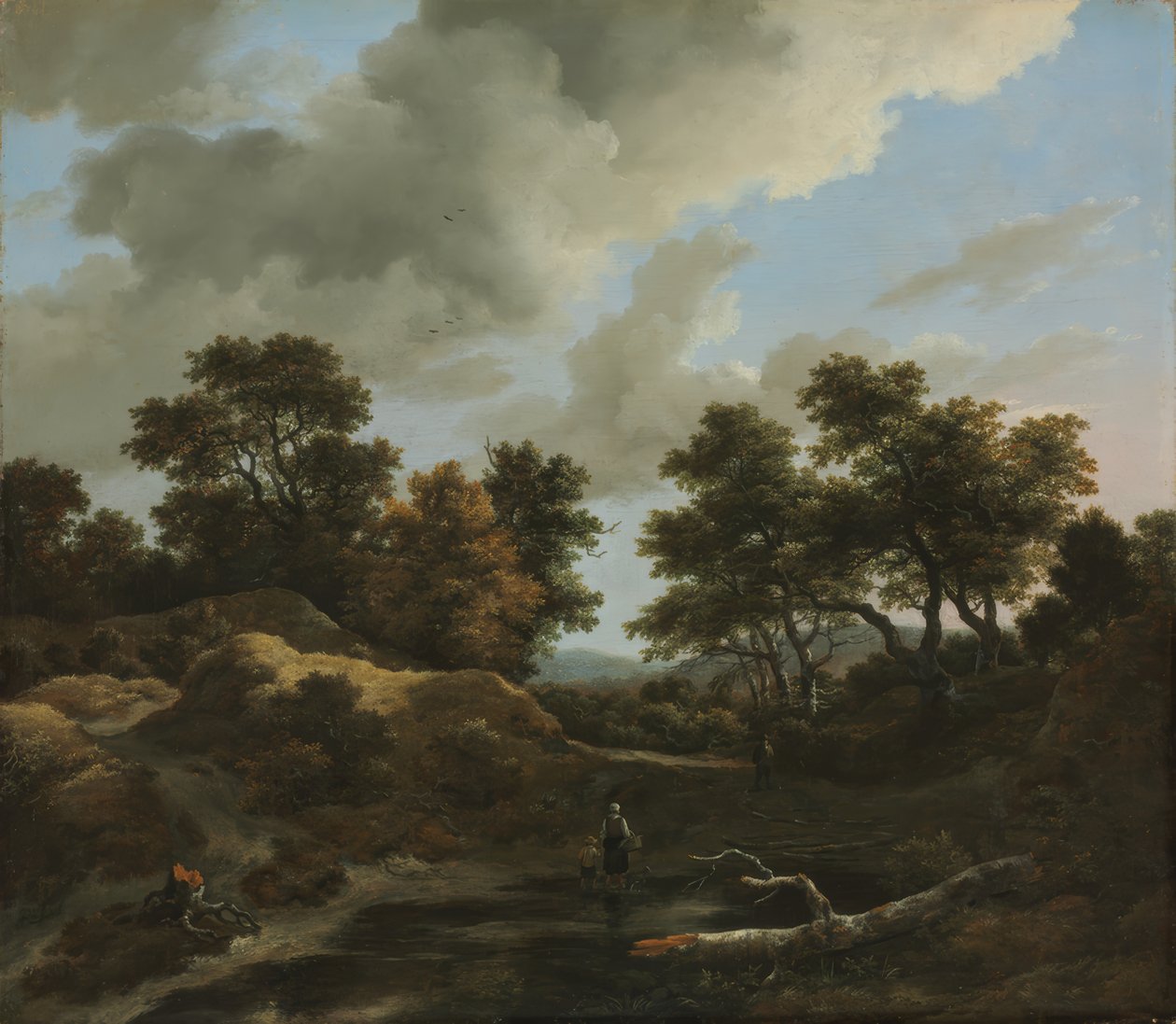 Zalesněná a kopcovitá krajina od Jacob van Ruisdael