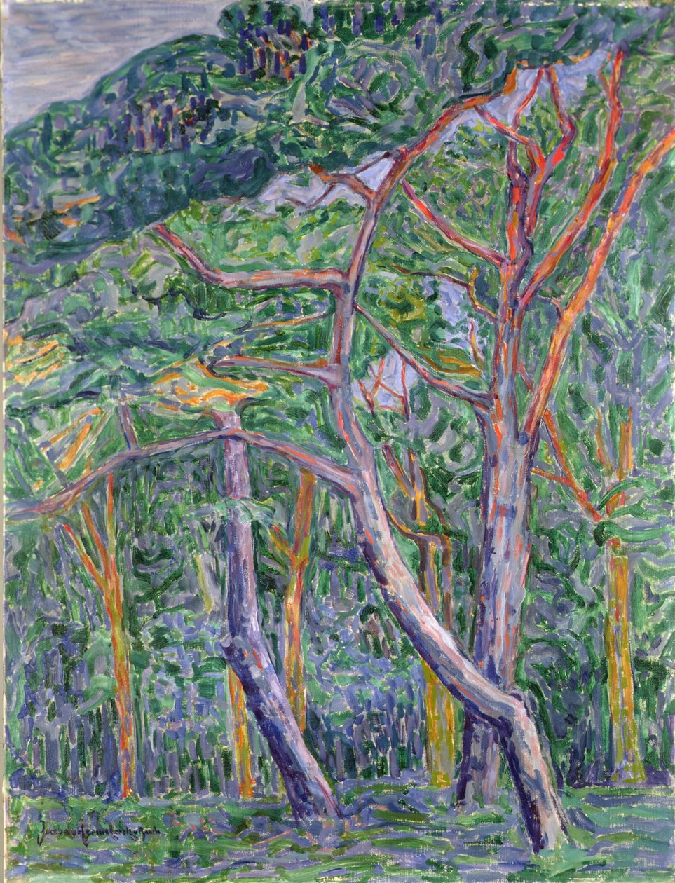 Borovice od Jacoba van Heemskerck