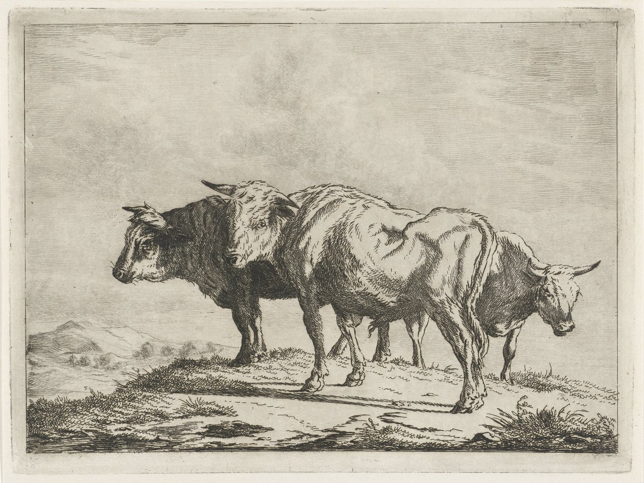 Tři voli od Jacobus Cornelis Gaal