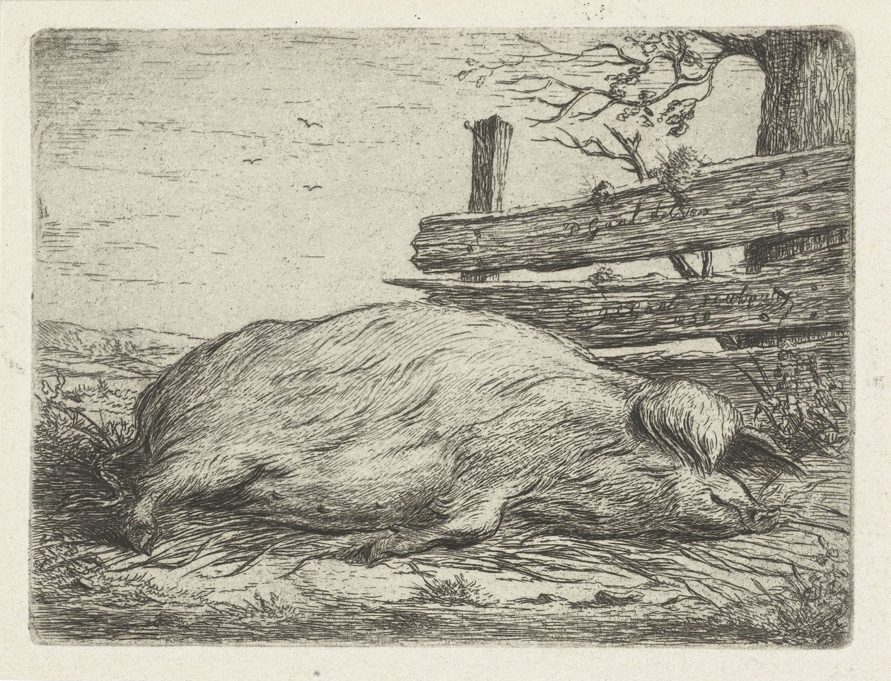 Ležící divočák od Jacobus Cornelis Gaal