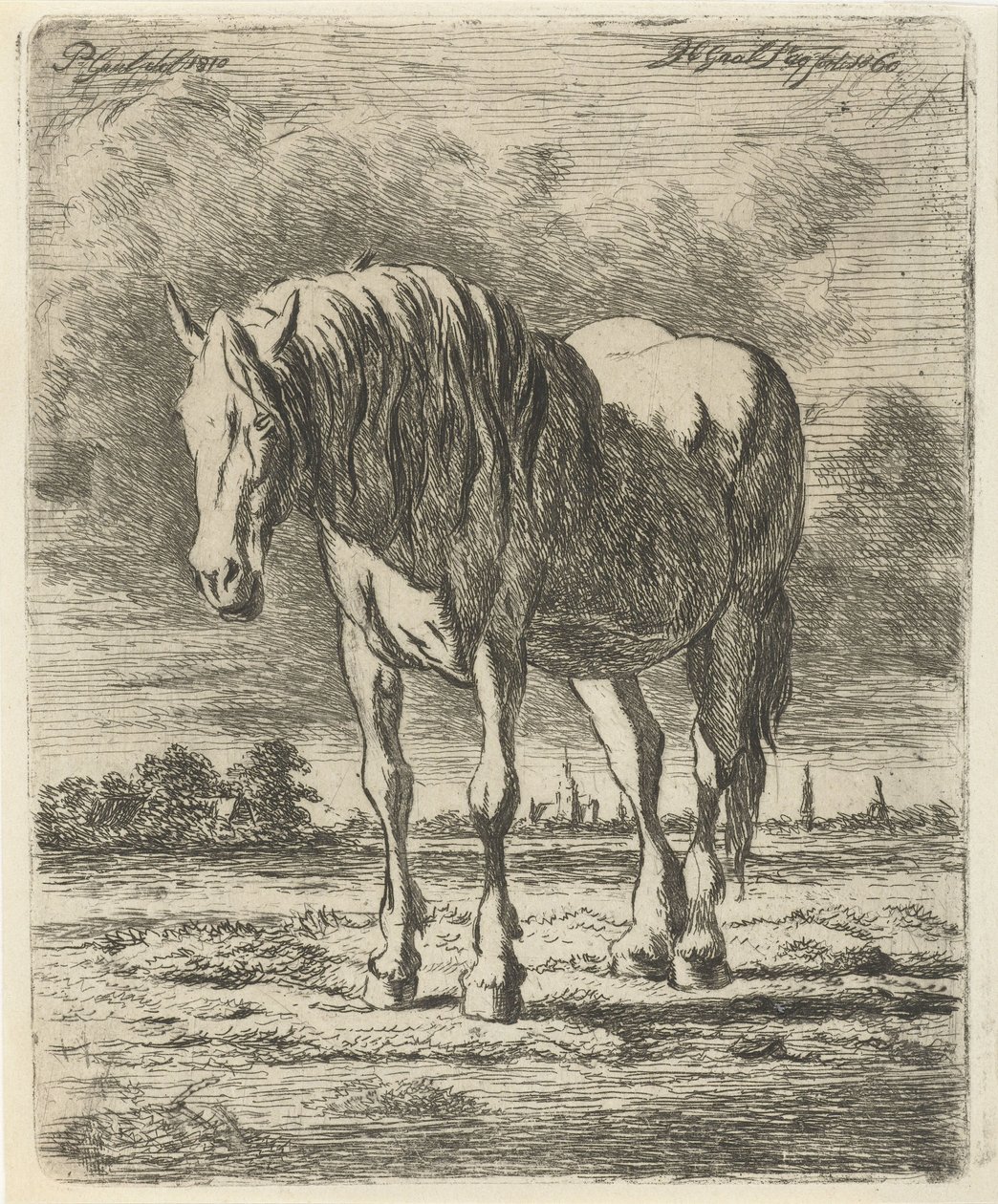 Stojící bílý kůň od Jacobus Cornelis Gaal