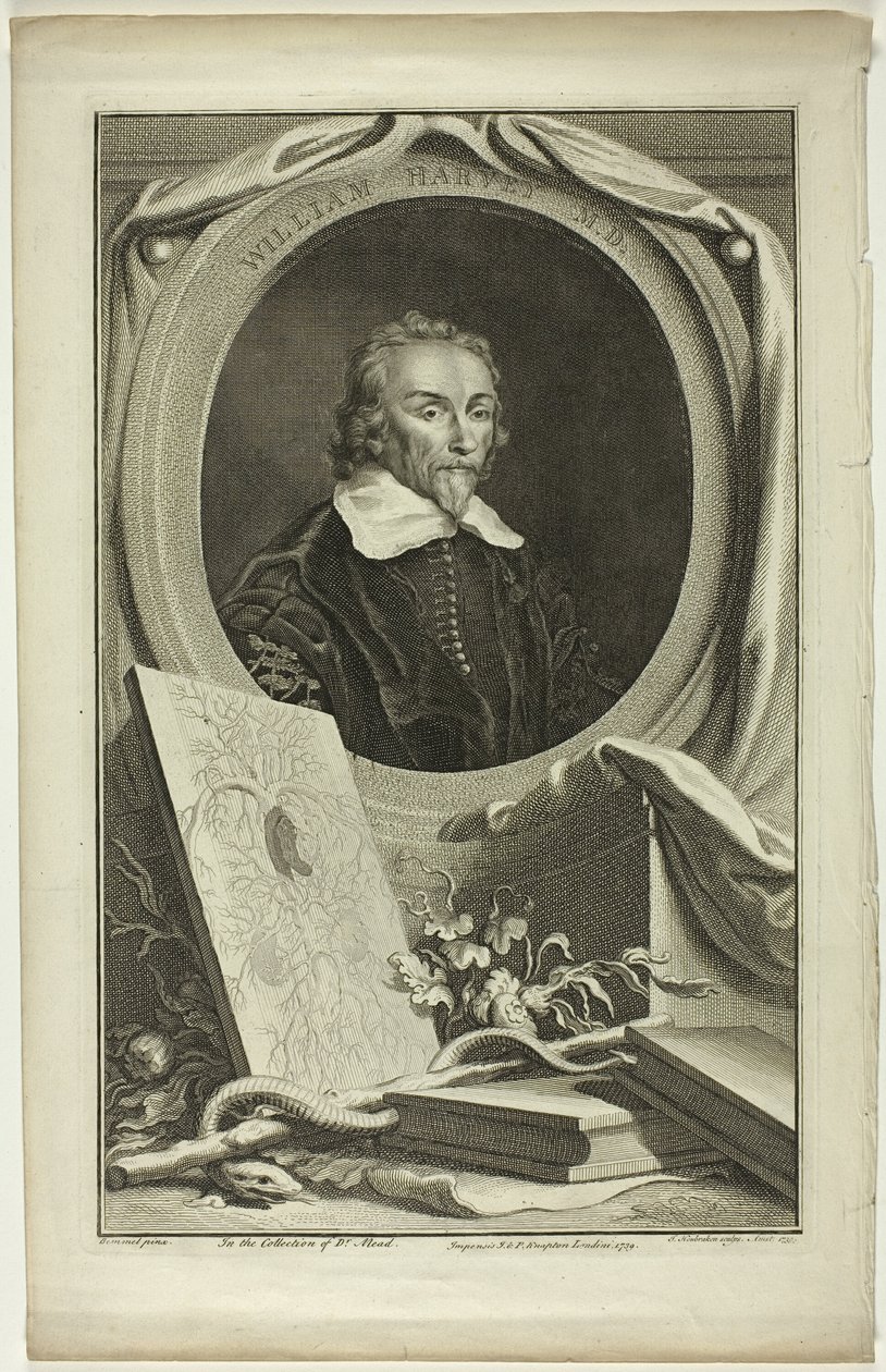 William Harvey, M.D. od Jacobus Houbraken