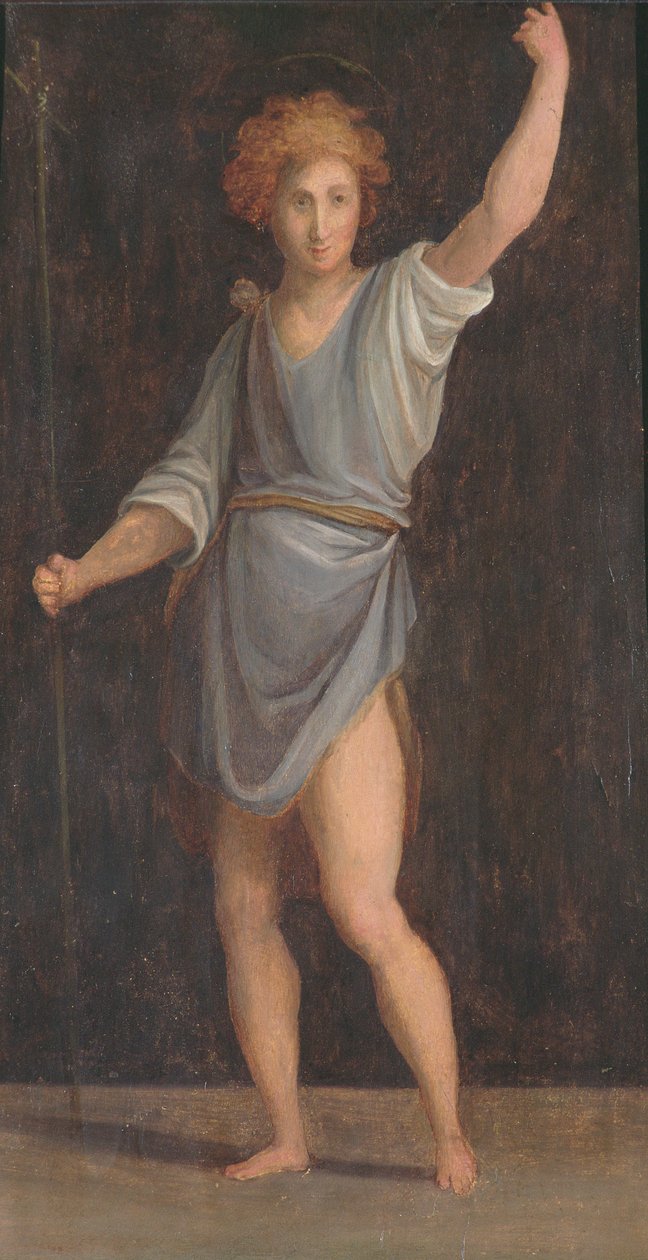 Panel, mátový vůz od Jacopo Pontormo