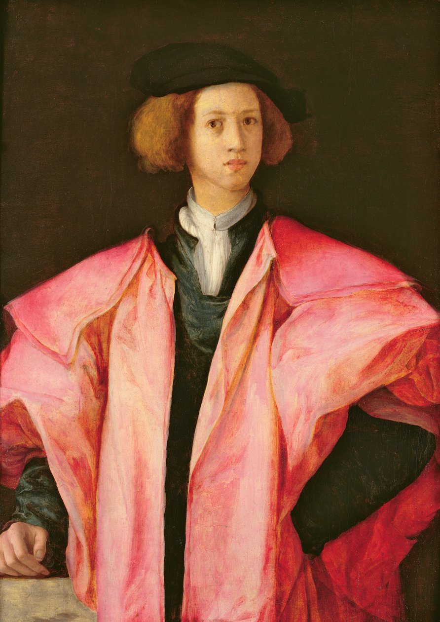 Portrét mladého muže od Jacopo Pontormo