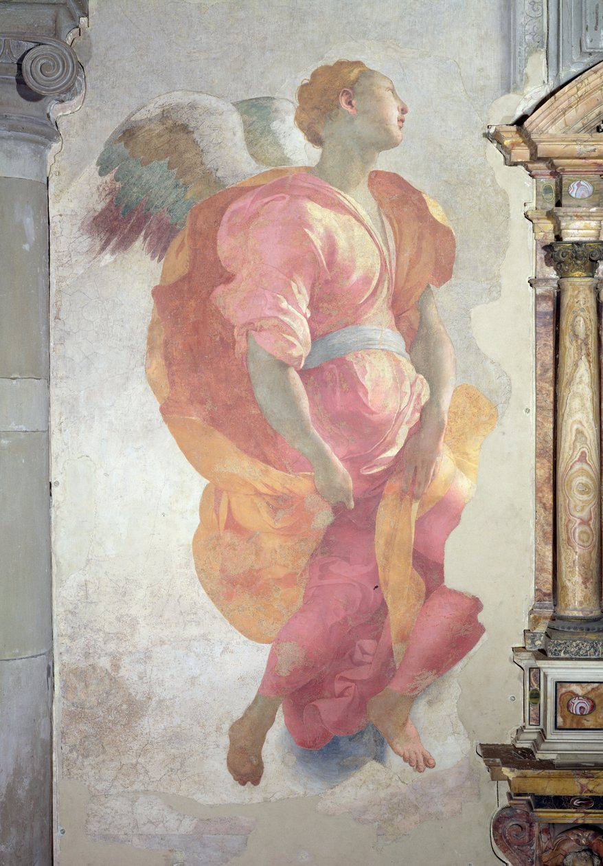 Navštívení, detail anděla vlevo od oltáře, freska 1528-30 od Jacopo Pontormo