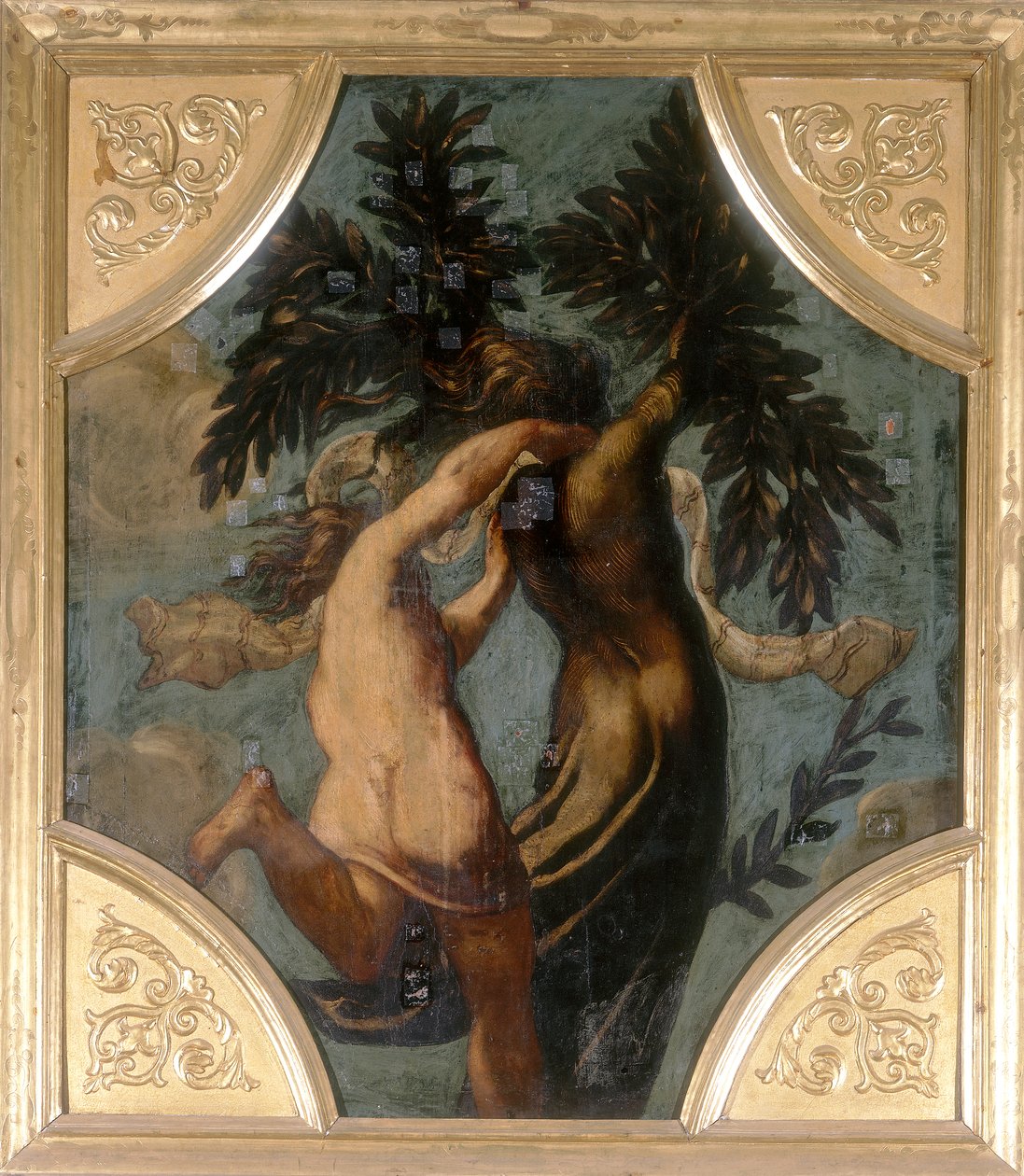 Apollo a Daphne, osmiúhelník od Jacopo Robusti Tintoretto