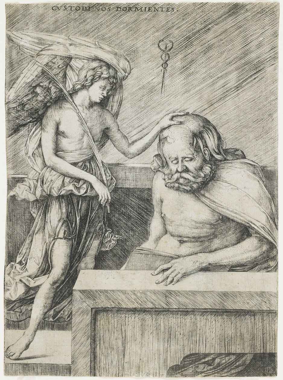 Anděl strážný, c. 1509 od Jacopo de Barbari