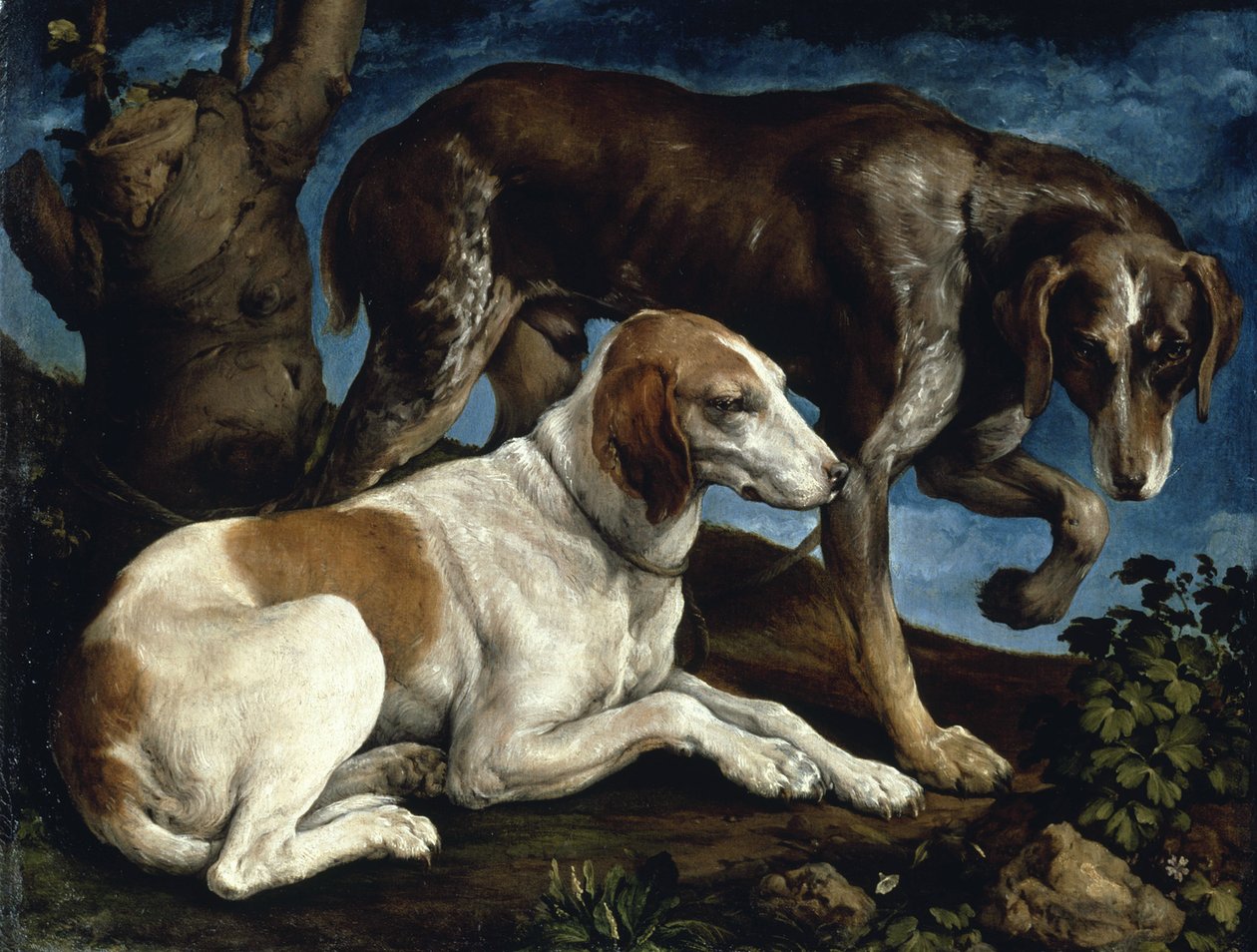 Dva lovečtí psi, 1548-1549. od Jacopo Bassano il vecchio