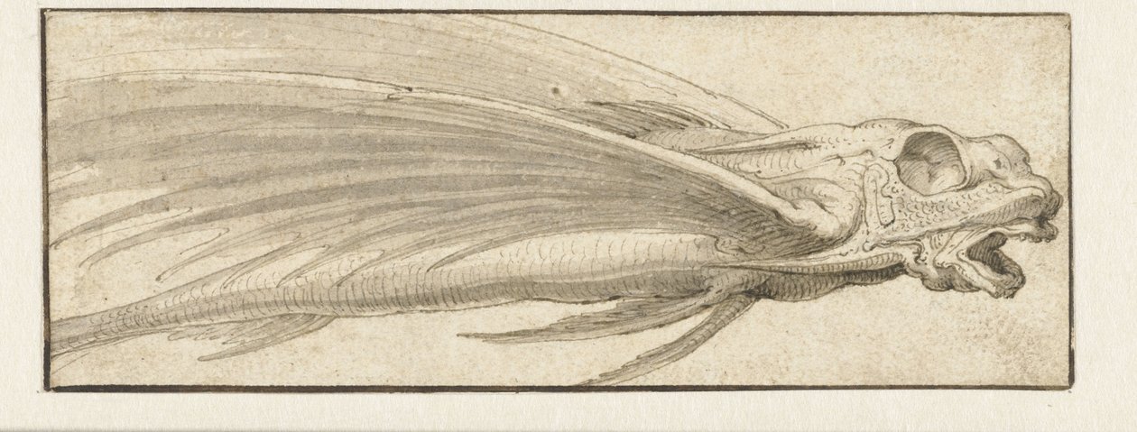 Létající ryba od Jacopo Ligozzi